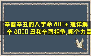 辛酉辛丑的八字命 🐱 理详解（辛 🐘 丑和辛酉相争,哪个力量更大）